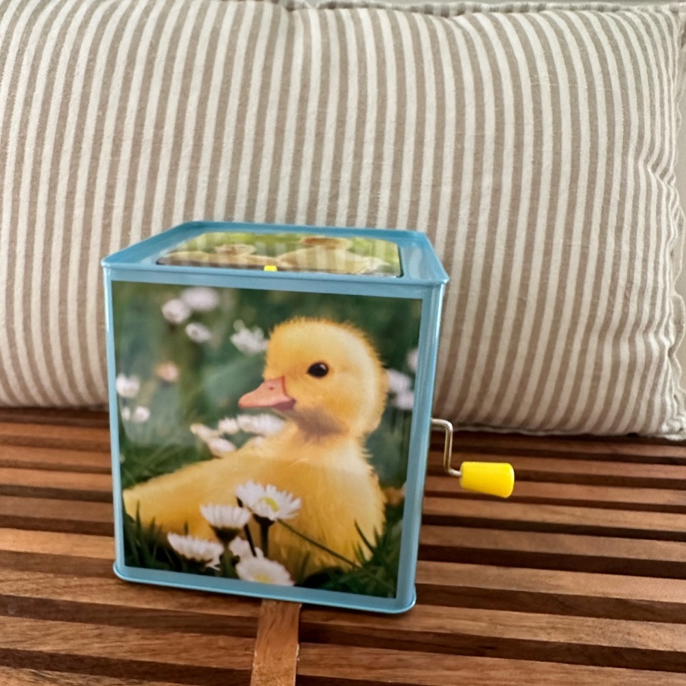 Schylling Duck Jack in the Box toy